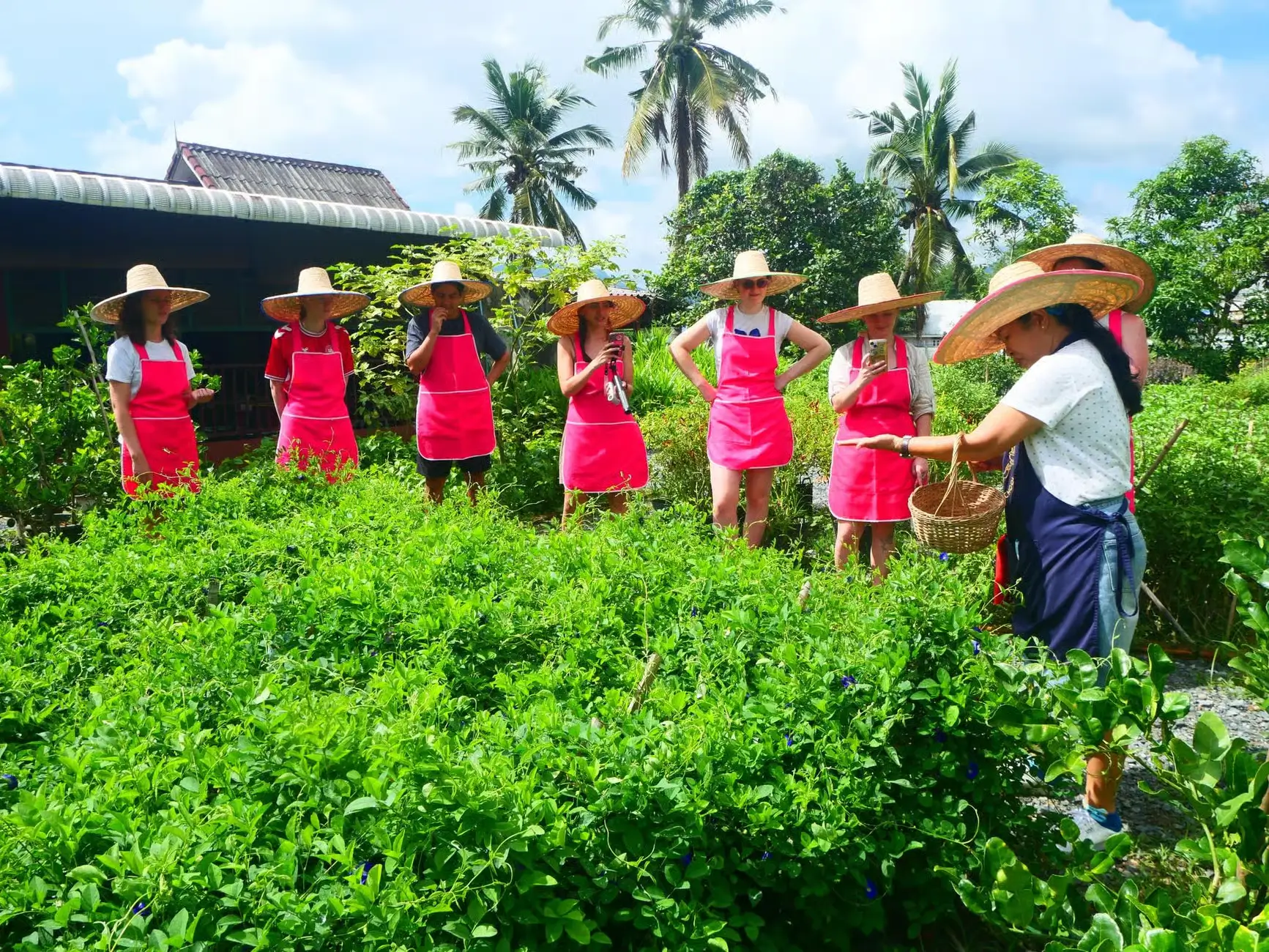 THAI COOKING CLASS ON A LOCAL FARM